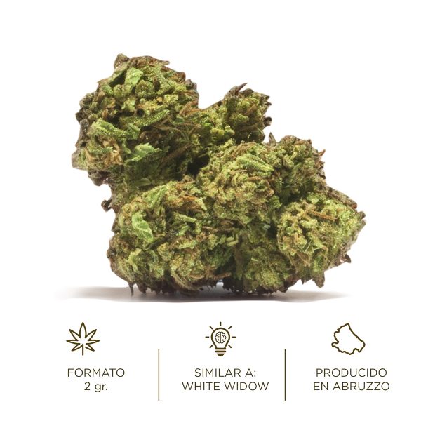 Popolo White Widow cannabis light flores cáñamo cbd